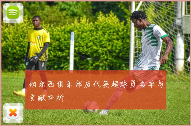 切尔西俱乐部历代英超球员名单与贡献评析