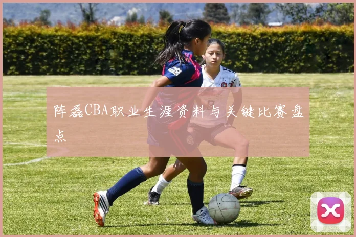 阵磊CBA职业生涯资料与关键比赛盘点