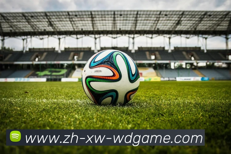 多媒体互动体验