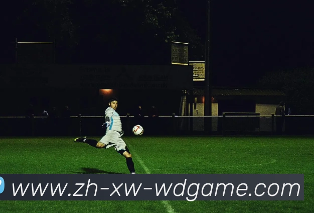 问鼎娱乐APP 高清赛事图